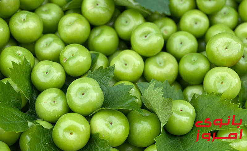 خواص گوجه سبز چیست