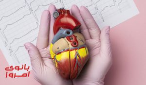در طب سنتی برای تپش قلب چی خوبه